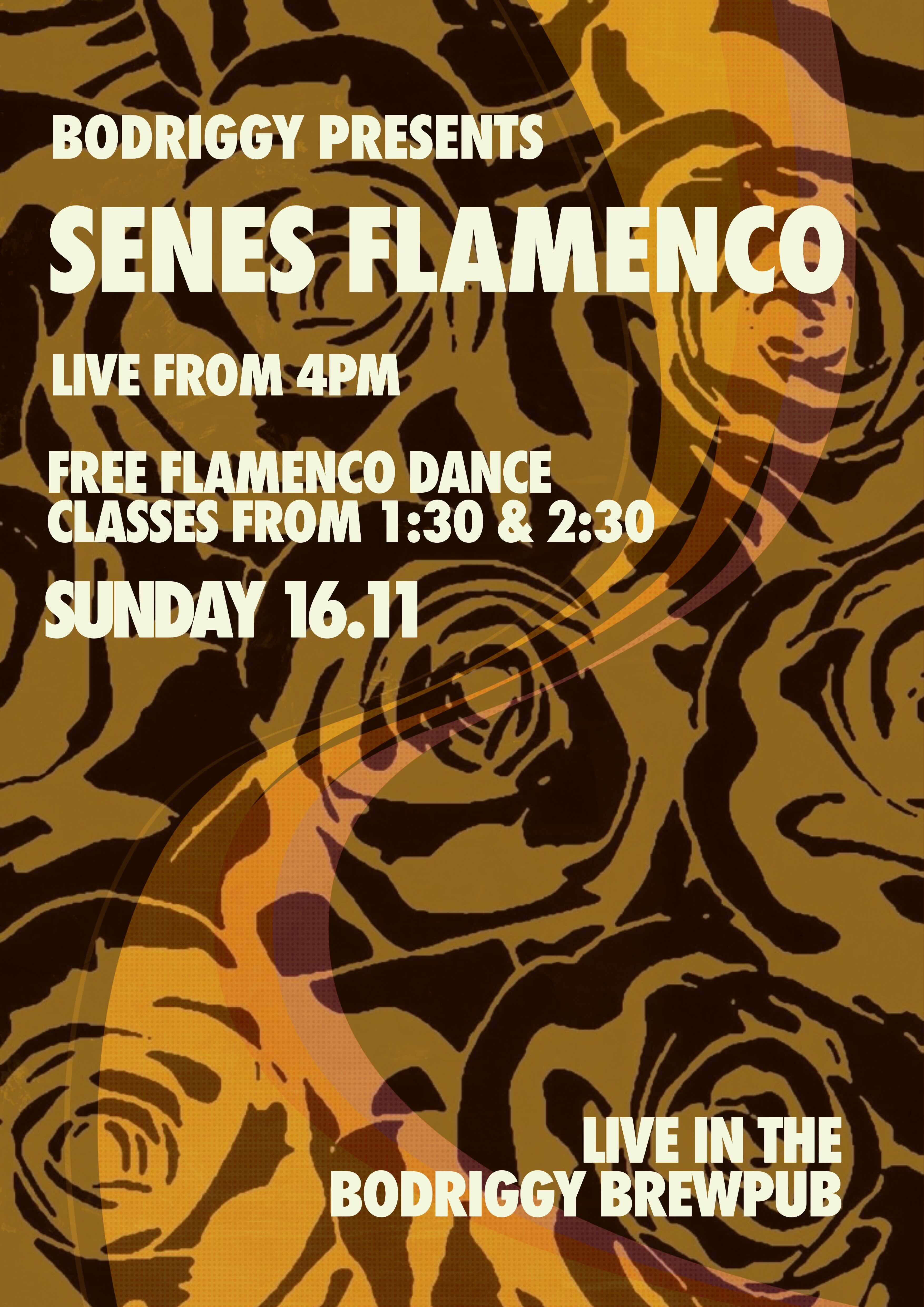 senes-flamenco-insta-portrait.jpg